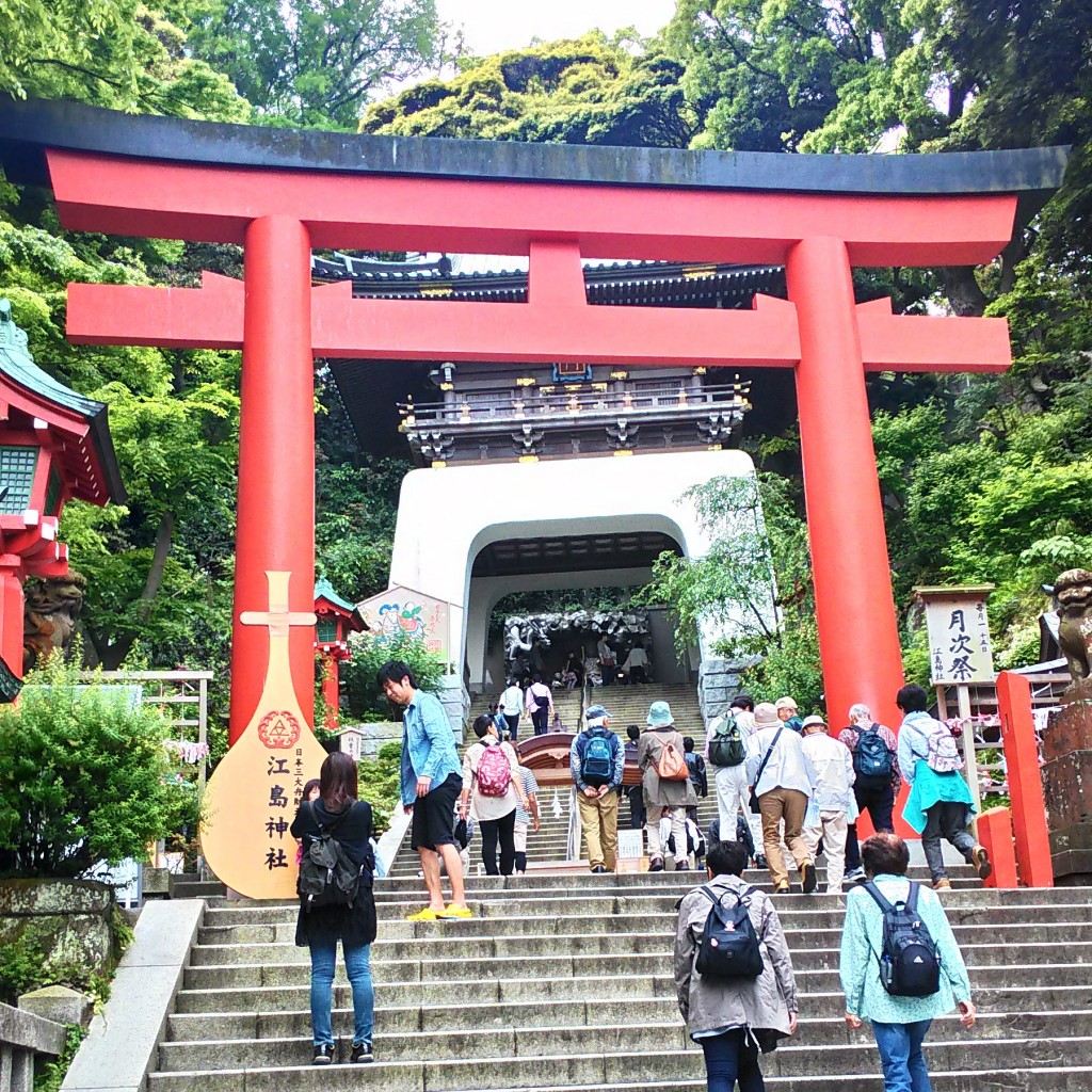江ノ島神社～池田丸でしらす定食