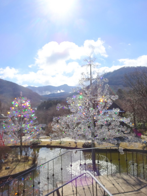 箱根ガラスの森美術館の美しすぎるクリスマスツリー：箱根・宮ノ下温泉ひとり女子旅【17】