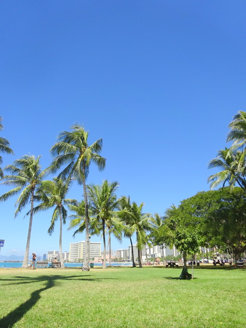 ハワイの朝散歩の定番スポット☆カピオラニ公園