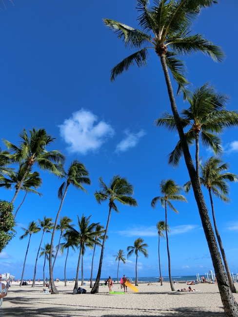 ハワイ旅行の時期（シーズン）を決めよう